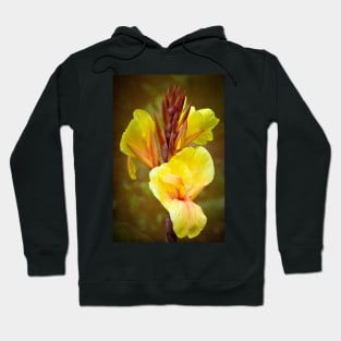 Yellow Canna Lilies Hoodie